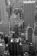 NEWYORK-7733