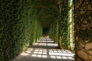 P1014318